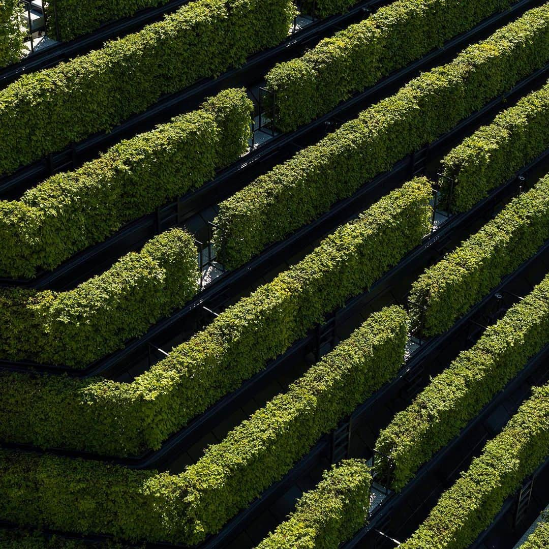 HYPEBEASTさんのインスタグラム写真 - (HYPEBEASTInstagram)「#hypelife: German firm @ingenhovenarchitects has completed a massive office complex that’s deemed to be “Europe’s largest green facade.” Called Kö-Bogen II, the structure spans 41,400 square meters and has the appearance of a sprawling green hill in Gründgens Square, and includes irrigation and drainage systems developed in association with the Beuth University of Applied Sciences in Berlin. According to Ingerhoven, the façade will offer similar benefits to the city as 80 deciduous trees. Find out more by hitting the link in our bio.⁠⠀ Photo: HGEsch/Ingenhoven Architects」5月8日 23時27分 - hypebeast