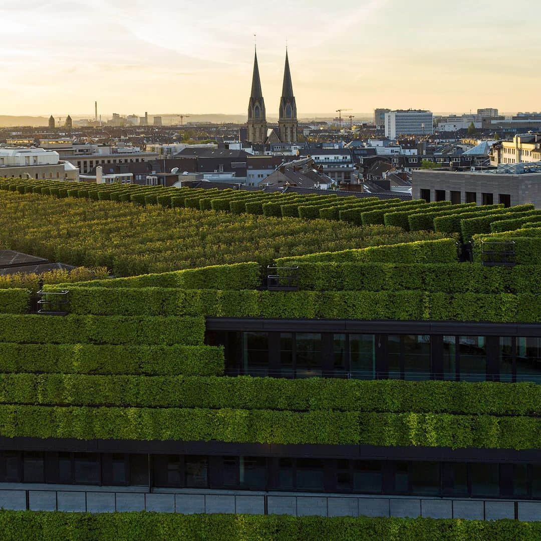 HYPEBEASTさんのインスタグラム写真 - (HYPEBEASTInstagram)「#hypelife: German firm @ingenhovenarchitects has completed a massive office complex that’s deemed to be “Europe’s largest green facade.” Called Kö-Bogen II, the structure spans 41,400 square meters and has the appearance of a sprawling green hill in Gründgens Square, and includes irrigation and drainage systems developed in association with the Beuth University of Applied Sciences in Berlin. According to Ingerhoven, the façade will offer similar benefits to the city as 80 deciduous trees. Find out more by hitting the link in our bio.⁠⠀ Photo: HGEsch/Ingenhoven Architects」5月8日 23時27分 - hypebeast