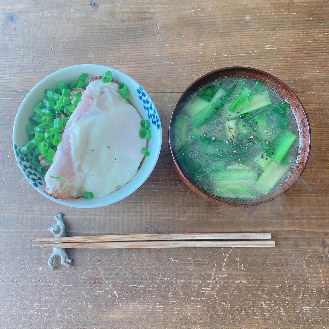 のインスタグラム：「スープは鴨すきの残り、半分は冷凍した！  #おうちごはん #おうちごはん金巻」