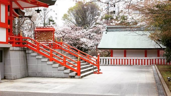 ミラのインスタグラム：「桜🌸」