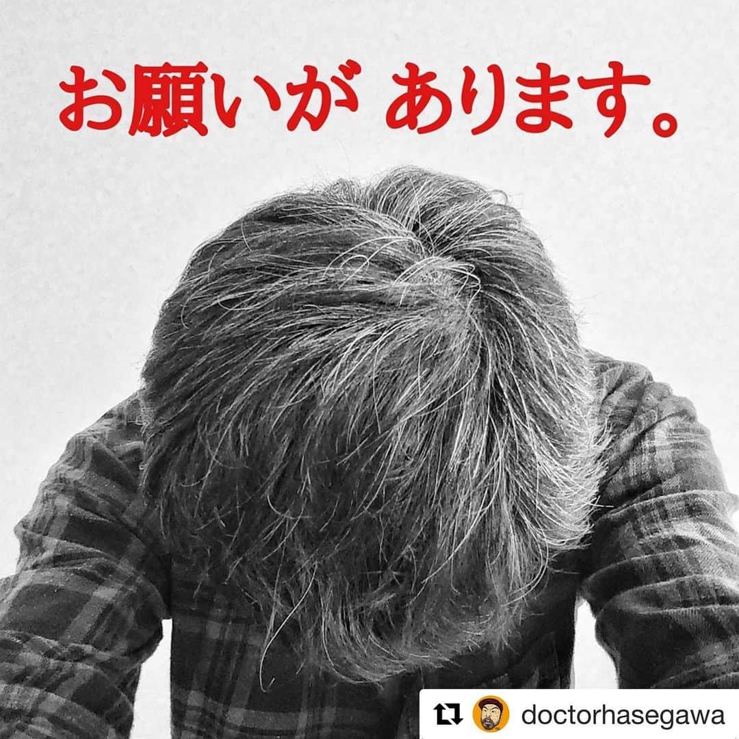 こーいちのインスタグラム：「大事な京都のオモロいお店である事は間違いない。 無理のない範囲でのご支援どうかよろしくお願いします。  #Repost @doctorhasegawa with @get_repost ・・・ おす!!!﻿ ﻿ 皆様、お疲れ様です。﻿ ﻿ 《お知らせ》と《お願い》があります。﻿ ﻿ 私、本日、先ほどから﻿ ポングループ４店舗存続の為﻿ クラウドファンディングをスタートさせて頂きました。。﻿ ﻿ 社員７人の給与、家賃共益費光熱費の基本料と合わせて月額の固定費は300万円をこえます。それに酒屋さんや肉、魚屋、野菜屋さんの請求が１、２ヶ月遅れて来ますので月の支払い合計は約500万円です。いざという時を見つつコツコツ貯めていた運転資金も３月末で吹っ飛びました。。。﻿ ４店舗全てを存続させ、かつ社員を全員残留させる事も現実的に難しくなってまいりました。。。﻿ ﻿ 万策も尽き、恥ずかしながら、恥ずかしながら、決心した次第です。﻿ ﻿ もちろん、このコロナ渦の中にあって、世界中の皆々さん全員が苦境にあえいでる事も理解しております。無理の無き範囲でご支援ください。そして、お手数ではございますが、内容ご確認の上で《拡散》のお手伝いを宜しくお願い致します。﻿ ﻿ 長々と失礼しました。m(_ _)m﻿ ﻿ ポングループ代表：ドクターハセガワ﻿ ﻿ 元祖大四畳半大酒場ポン﻿ コンクリートバー﻿ 木屋町ゴールデン酒場﻿ オリオン食堂﻿ ﻿ 《クラウドファンディング(campfire)》﻿ https://camp-fire.jp/projects/view/269511﻿ ※ココ↑をクリックすると確認頂けます。﻿ ※Instagramからは私のプロフィールの﻿ URLから、ご確認可能です。﻿ ﻿ ドクターハセガワSNS他﻿ ﻿ @doctorhasegawa(Instagram)﻿ @長谷川耕司(facebook)﻿ @DOCTOR_HASEGAWA(Twitter)」
