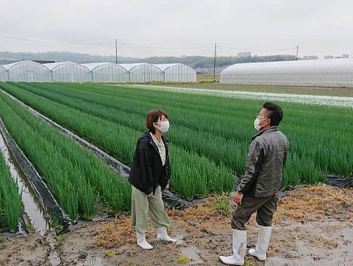 稲富菜穂さんのインスタグラム写真 - (稲富菜穂Instagram)「今日のお昼12時から、 KBS京都「夢追人」放送されますっ📺. . 滋賀編では椎茸を、 京都編ではネギを育てる夢追人さんに お話を聞かせて頂きましたっ🙇‍♂️✨. . どちらも素敵なお話ばかりで、 椎茸もネギも美味しくて😭💕. . ロケ終わりに買わせていただきペロリと頂きました😋✨. . おうちじかんのお供に是非🥺📺🎶. . #夢追人 #KBS京都 #滋賀 #京都 #しいたけ #椎茸 #ネギ #ねぎ　#葱 #おうちじかん #お家時間 #是非宜しくお願い致します #📺 #🙇‍♂️」5月9日 11時32分 - inatomi74