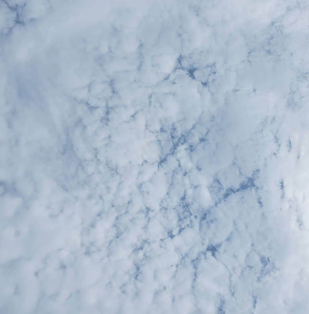 CHIHARUさんのインスタグラム写真 - (CHIHARUInstagram)「ふわっふわの雪の上みたぃだ。 歩いてみたぃ🚶‍♀️🚶🚶🚶‍♀️🚶 #いやあるけんけど #しっとるょ #☁️☁️☁️」5月9日 11時35分 - 10090725c