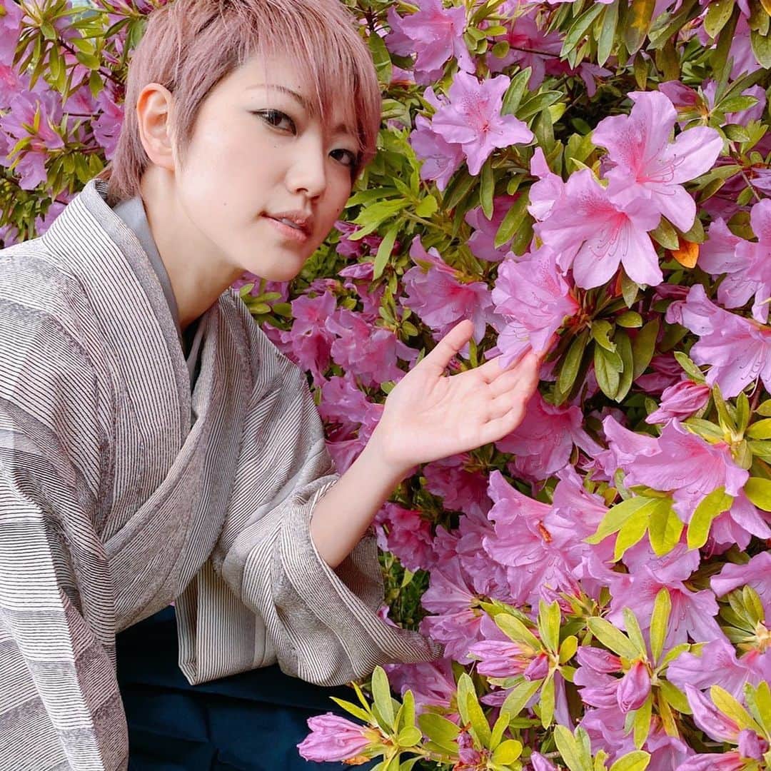 七海ひろきさんのインスタグラム写真 - (七海ひろきInstagram)「☆ この間、久しぶりに着物を着たよーー。 着物を着ると、身も心も引き締まる感じがする。 着流しも袴も、どちらも好き！！ . #着物 #袴 #和服 #和装 #スタイリッシュ川柳 #ツツジ #七海ひろき」5月9日 11時52分 - hirokinanami773