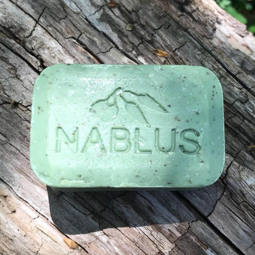 Nablus Japanのインスタグラム：「#タイム というハーブには、#チモール という成分が含まれています。チモールには、強力な #殺菌作用 と #防カビ作用 があります。 古代エジプトでは、ミイラの防腐剤としてタイムが利用されていました。 #ナーブルスソープ のタイムは、天然オリーブオイル石鹸。タイムの香りが癒しも与えてくれます。」