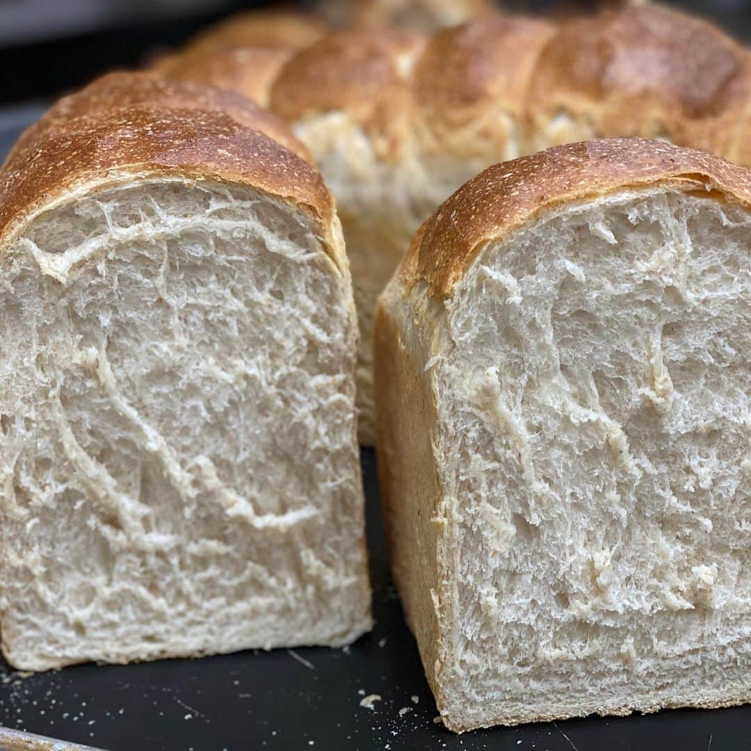 魔女菅原のグルメインスタ