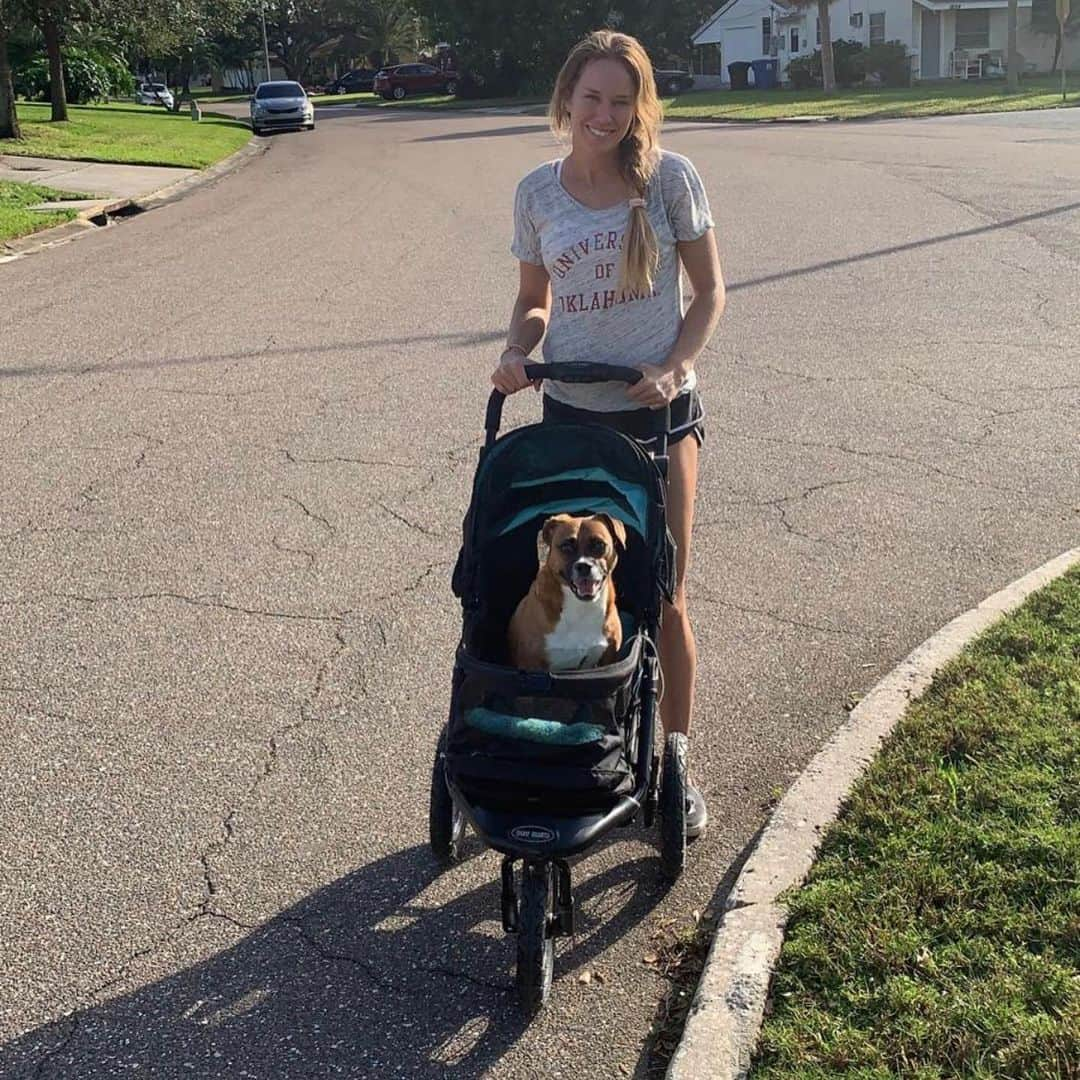 ダニエル・コリンズさんのインスタグラム写真 - (ダニエル・コリンズInstagram)「When you look into these cuties’ eyes, you know exactly where their hearts are ❤️❤️❤️❤️ Full of love and companionship. I think that’s why I prefer dogs over humans, most of the time. During this global crisis, lives everywhere have been turned upside down. Scout, Lola (Apple Pie), Harper, and Quincy have been a huge comfort to me and my family, but unfortunately not all the dogs and cats in this world are so lucky. I would rescue all of them if I could, but I need your help. Many homeless pets, in the hardest-hit cities and countries, are without families they can count on. Alone on the streets or in overcrowded shelters, rescuers are struggling to feed the animals that rely on them. When my friend @zachskow from @marleysmutts @pawsitivechangeprogram told me that @spca_international is working hard to rush food and financial grants around the world to animal shelters struggling to fill food bowls. I knew I had to help. Will you help too? Just $1 can fill a bowl. You can help support at www.spcai.org/donatenow.  Together we can make sure they don't go hungry. Scouty, Lo, Harper, and Q-Mister would give endless kisses to say thank you 😘😘😘😘 🐶🐶🐶🐶🐶🐶🐶🐱🐱🐱🐱🐱🐱🐱🐱🐱🐱🐱」5月9日 12時11分 - danimalcollins