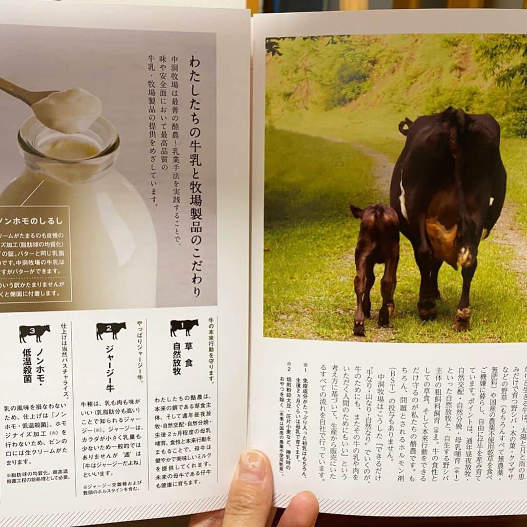 新田朝子さんのインスタグラム写真 - (新田朝子Instagram)「#牛乳チャレンジ パート2🌸 大学時代に何度もお世話になった #岩手県 から #牛乳 と #飲むヨーグルト のセットを取り寄せました🐄今朝もごくごく飲んで、元気をもらっています！！ . 濃厚でとってもクリーミーな味わいにハマってます。 #なかほら牧場 @nakahora_bokujou さん、ありがとうございます🤍 . 学校などもまだ再開されていないため、引き続き需要が落ち込んでいる #牛乳 や #乳製品 をいつもより多く買うようにして、少しでも #酪農家 の皆さんを応援したいです🌈 . #中洞牧場 #東北 #岩手 #ふるさと #遠野の皆さんお元気ですか #大学時代を思い出す #道産子 #農林水産省 #プラスワンプロジェクト #コロナに負けるな #美味しい牛乳 #お取り寄せグルメ #オンラインショップ #milkchallange #🥛」5月9日 12時21分 - asako.nitta