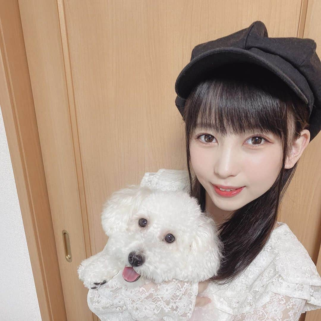 髙木由莉愛さんのインスタグラム写真 - (髙木由莉愛Instagram)「♡ あごのせとハイタッチできるようになった大分県の実家で飼ってるみるくちゃん🐶  #トイプードル #犬のいる暮らし  #おうち時間 #白い犬 #ペット #愛犬 #フォローミー #犬好きな人と繋がりたい」5月9日 12時35分 - yuria_takaki