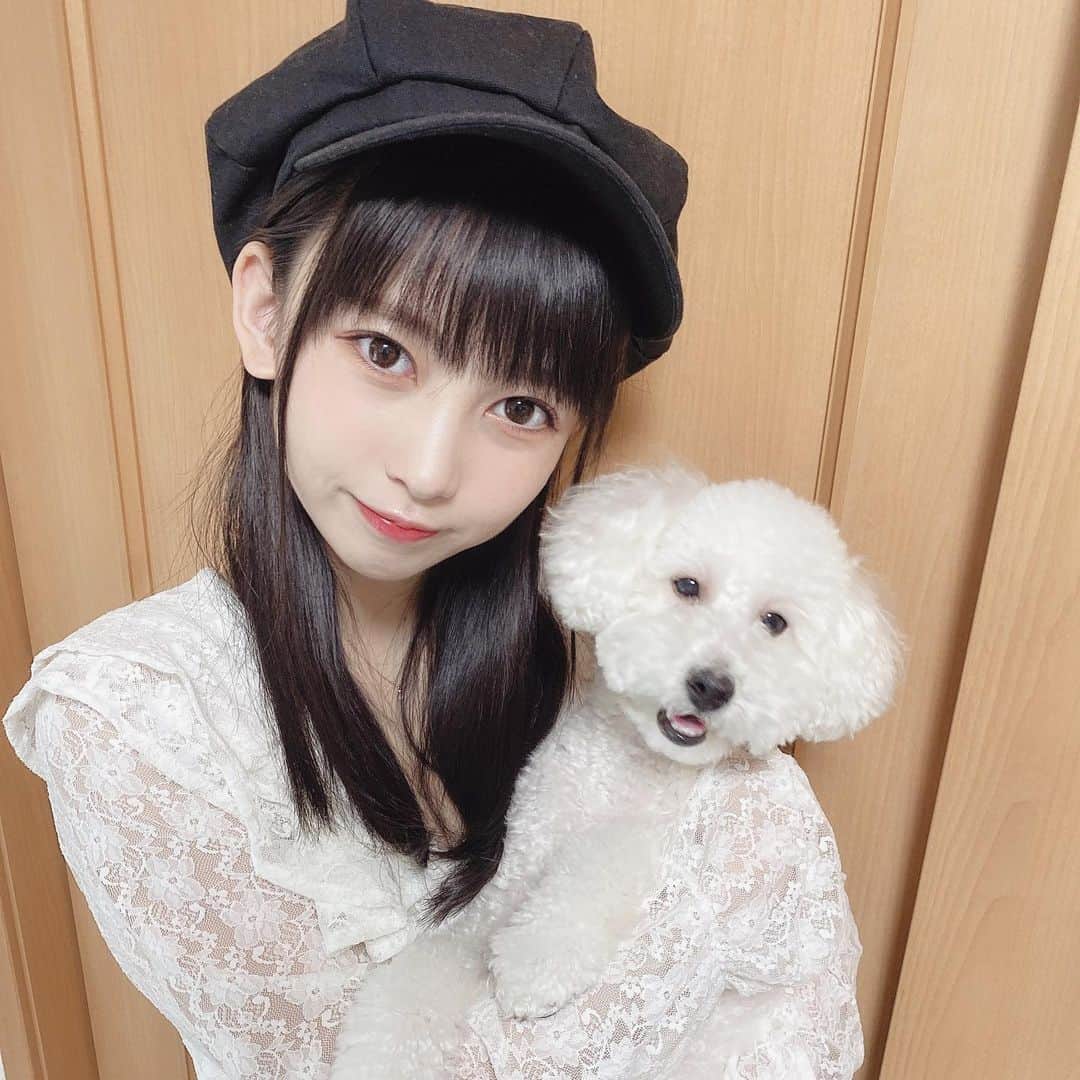 髙木由莉愛のインスタグラム：「♡ あごのせとハイタッチできるようになった大分県の実家で飼ってるみるくちゃん🐶  #トイプードル #犬のいる暮らし  #おうち時間 #白い犬 #ペット #愛犬 #フォローミー #犬好きな人と繋がりたい」