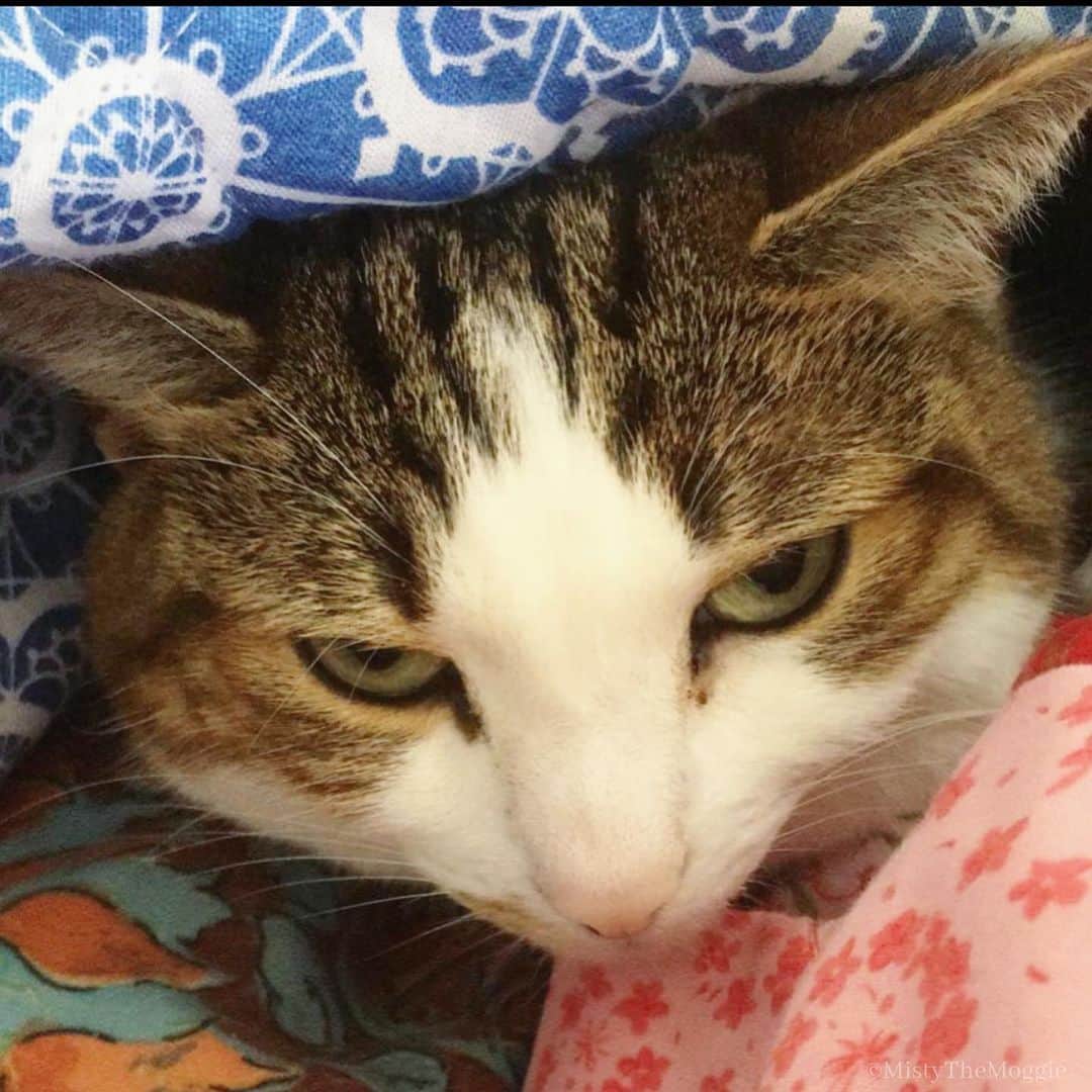 のインスタグラム：「Ready for my close up」