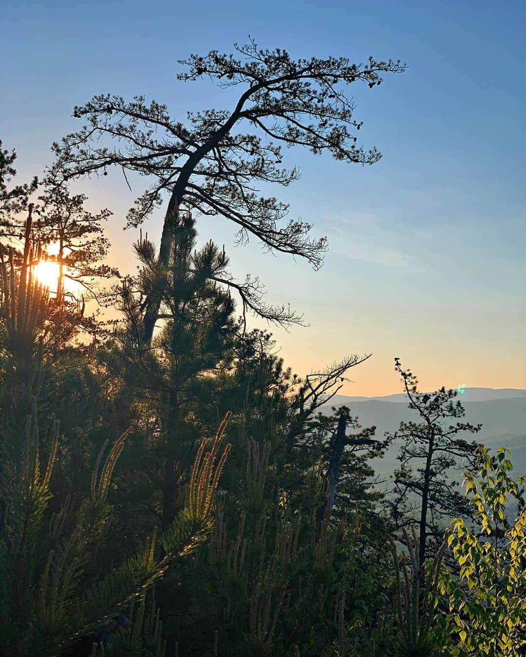 マイケル・パーソンズさんのインスタグラム写真 - (マイケル・パーソンズInstagram)「Longest hike I’ve done yet is in the books! 40 miles in 2.5 days isn’t a bad start 🤙🏼 If you can do it safely, an overnight hike is a great way to get outside and stay isolated 😊」5月9日 5時17分 - michaelap95