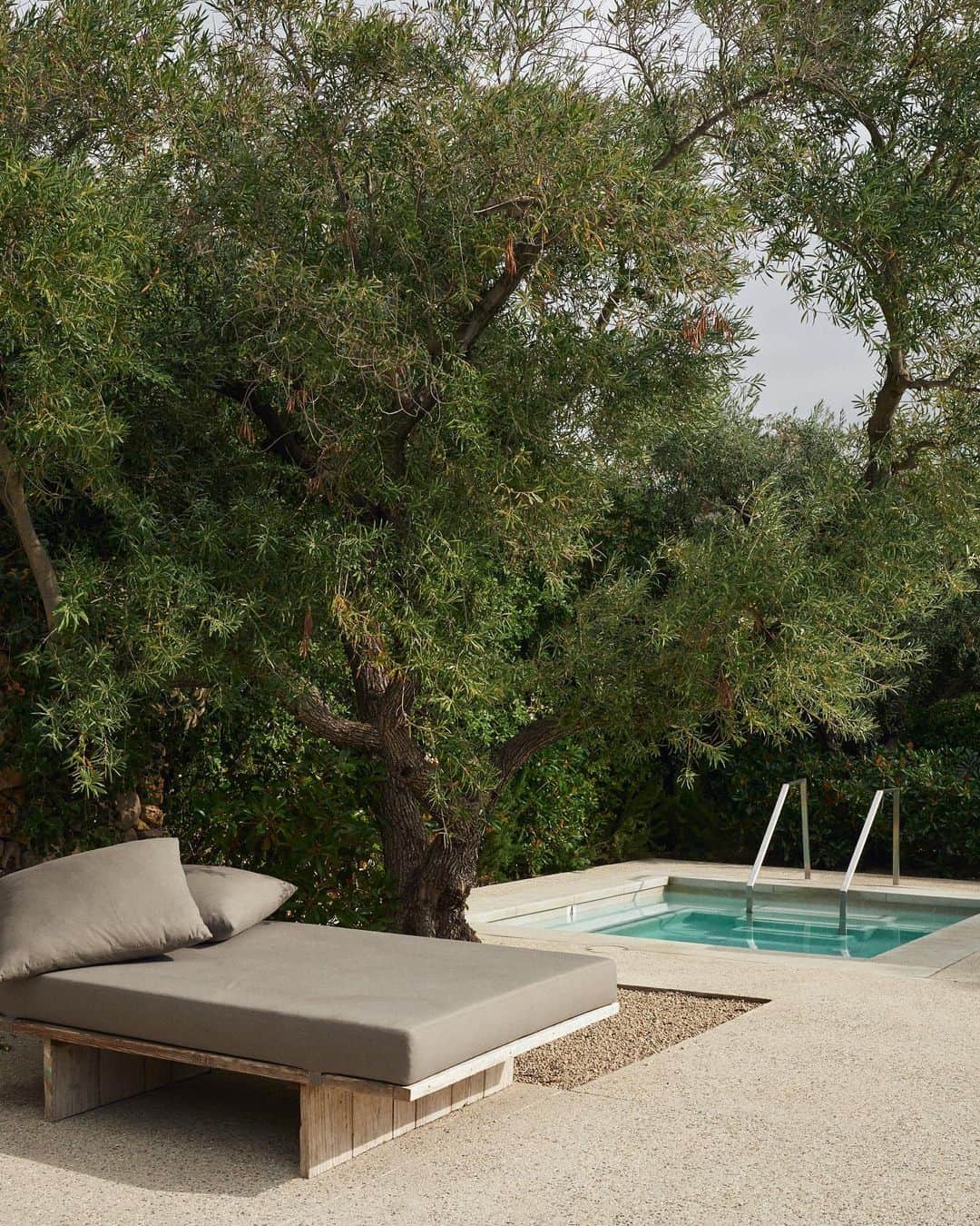 アリス・ガオのインスタグラム：「olive tree heaven (outtakes from an @oliverpeoples shoot)」