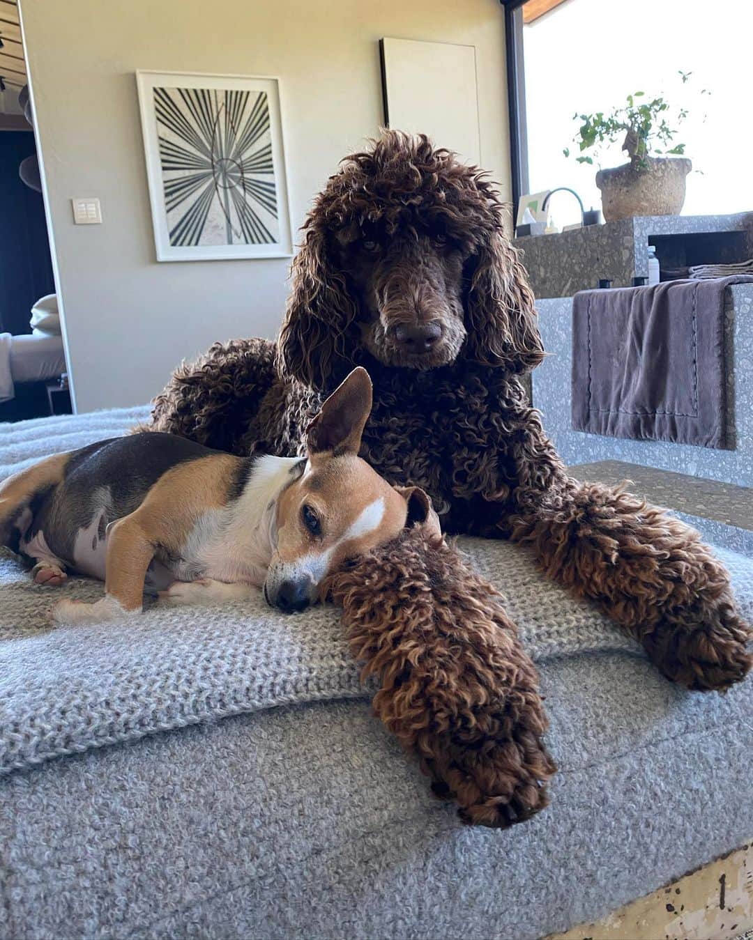 のインスタグラム：「We all need somebody to lean on」