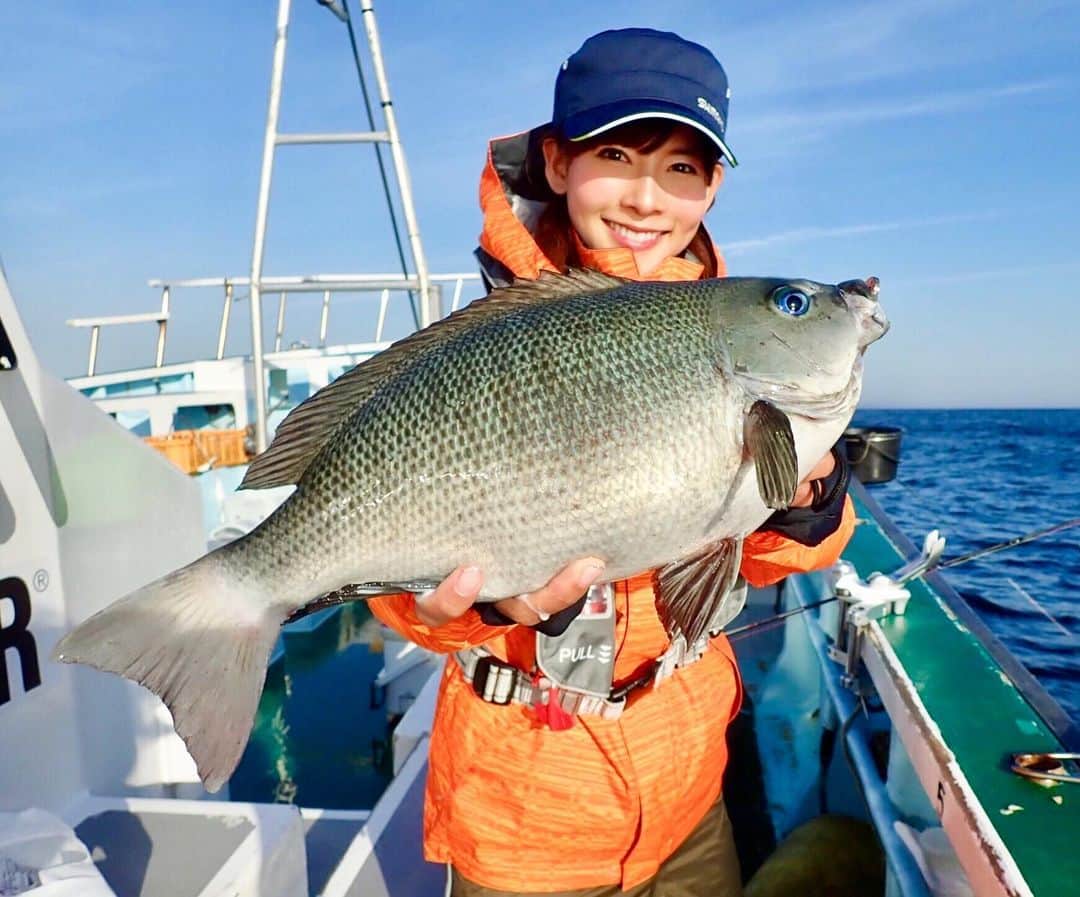 のインスタグラム：「🐟♡ #過去pic #1年前の今日 ・ 42cmの良型グレを釣ってました✨ 今年まだ春物のウェアを着てないなぁ😭🌸💦 ＊ #fishing #fishinggirl #stayhome #釣り #魚 #グレ #釣り女子 #おうち時間 #釣りの思い出 #阪本智子」