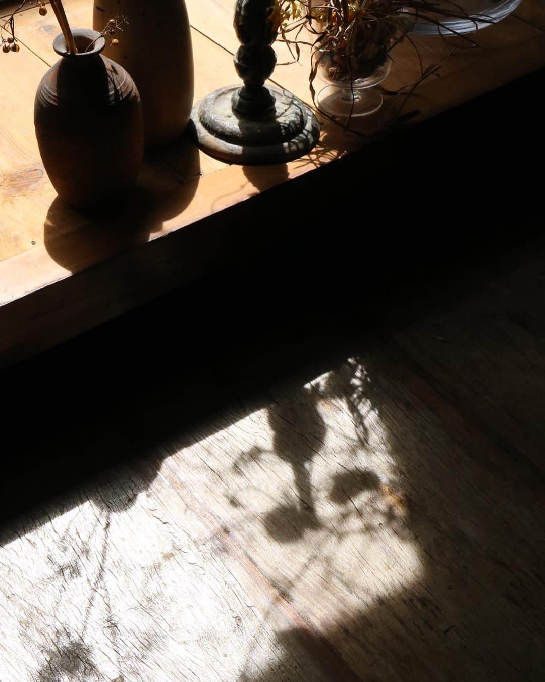 masakiさんのインスタグラム写真 - (masakiInstagram)「植物の影がかわいい朝 たっぷりマグで、 あつあつの新茶をいただきます。 我が家は今年、新茶三袋目。 時季のものをいっぱい吸収して。 みんな元気です！  #新茶また来週入りますからね」5月9日 9時46分 - mogurapicassowols