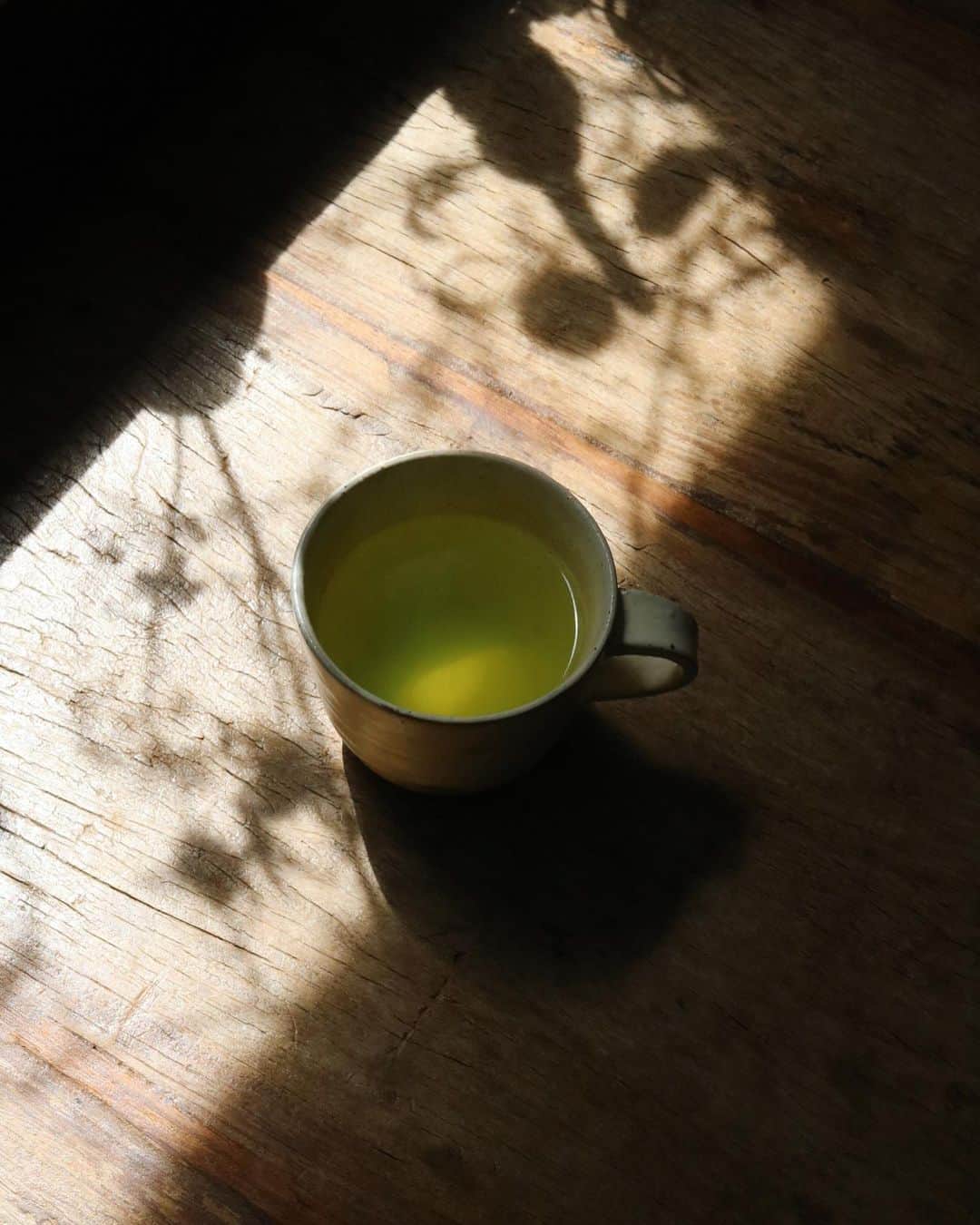 masakiさんのインスタグラム写真 - (masakiInstagram)「植物の影がかわいい朝 たっぷりマグで、 あつあつの新茶をいただきます。 我が家は今年、新茶三袋目。 時季のものをいっぱい吸収して。 みんな元気です！  #新茶また来週入りますからね」5月9日 9時46分 - mogurapicassowols