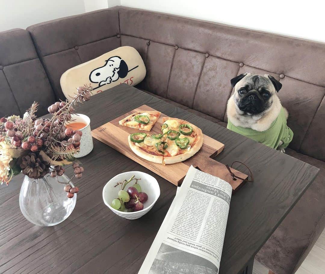 佐々木かいさんのインスタグラム写真 - (佐々木かいInstagram)「おはようございます☀  今朝はピザを焼いてみた朝ごはん🍕🐾。 そして、朝から英字新聞を読むのりたま📰🗽笑 今日も1日ファイトですね🍙🐾。 ・ #英字新聞を読むインテリパグ #ささきのりたま #のりたまと食卓シリーズ ・ ・ #ピザ#pizza#🍕#パグ#パグのいる生活 #パグのいる暮らし #犬のいる暮らし #パグスタグラム #pug#puglove #pugstagram #puglife #pugdog」5月9日 10時20分 - kai_s_1213