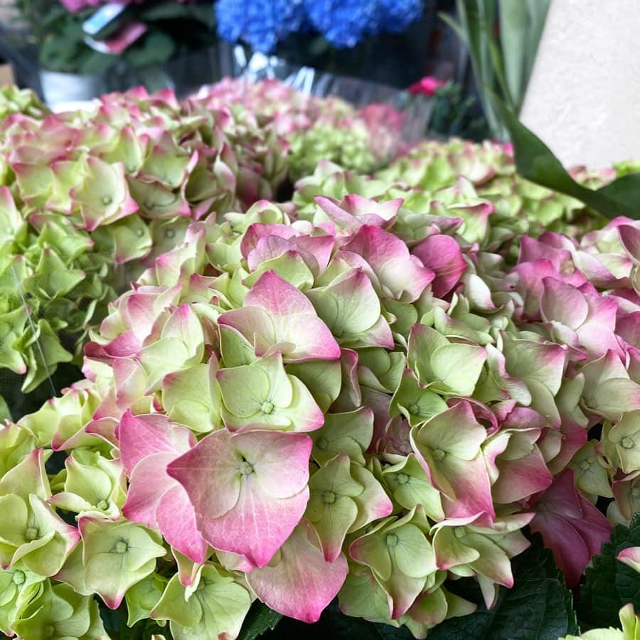 MILLE ECLAT.のグルメインスタ