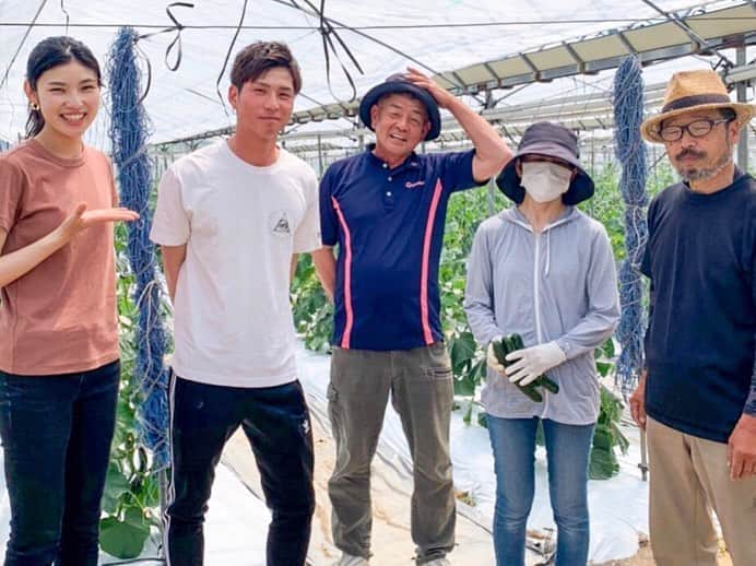 i_am_happpyのインスタグラム：「. . 先日、上天草の松野農園さんにおじゃましました👨‍🌾 現在、コロナの影響で給食や飲食店がストップし、出荷先が減り困っている農家さんがたくさんいる事を知り、直接生産者さんたちの声をお聞きしたいと思ってお伺いさせていただきました！ . 農業に対する熱い思いや、愛情を持って熱心にお野菜を育てられている姿が心に残りました。いただいた新鮮なお野菜を使い、料理するのがさらに楽しいです😆美味しくいただいています❣️ありがとうございました☺️✨ . 何事もまず情報を知ることが大切💡 料理をする機会が少ない人、もっと若い世代の人たちにも知ってほしいな！どんな状況でも、お互い支え合ってマイナスをプラスに変えましょう😊✨ . . 松野農園さんの玉ねぎ、きゅうりはオンラインでのご購入もできるそうなので、是非インスタからチェックしてみてくだいね😘🥒 . #松野農園#農業#農家#熊本#天草#玉ねぎ #新玉ねぎ#きゅうり#ひなたん家のきゅうり #農家直送#熊本料理#コロナに負けるな」