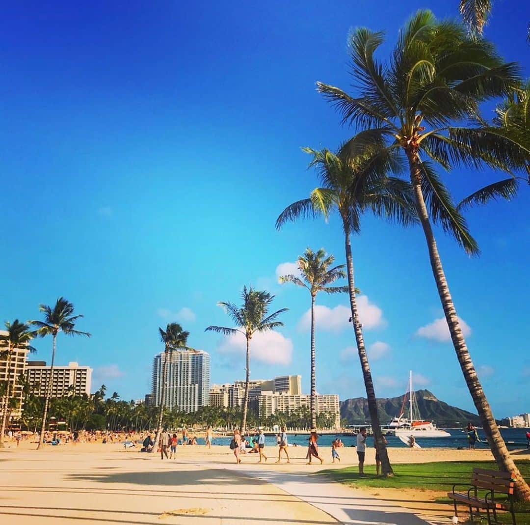 堤俊輔のインスタグラム：「﻿ ハワイにいる友達が写真送ってくれた🤙🏾﻿ ﻿ ﻿ 写真見てるだけで気分が上がるよね〜🌴😝﻿ ﻿ ﻿ ﻿ #ハワイ﻿ #ハワイにいる友達から届いた﻿ #ステイホーム﻿ #アロハ﻿ #ツツスタグラム﻿」
