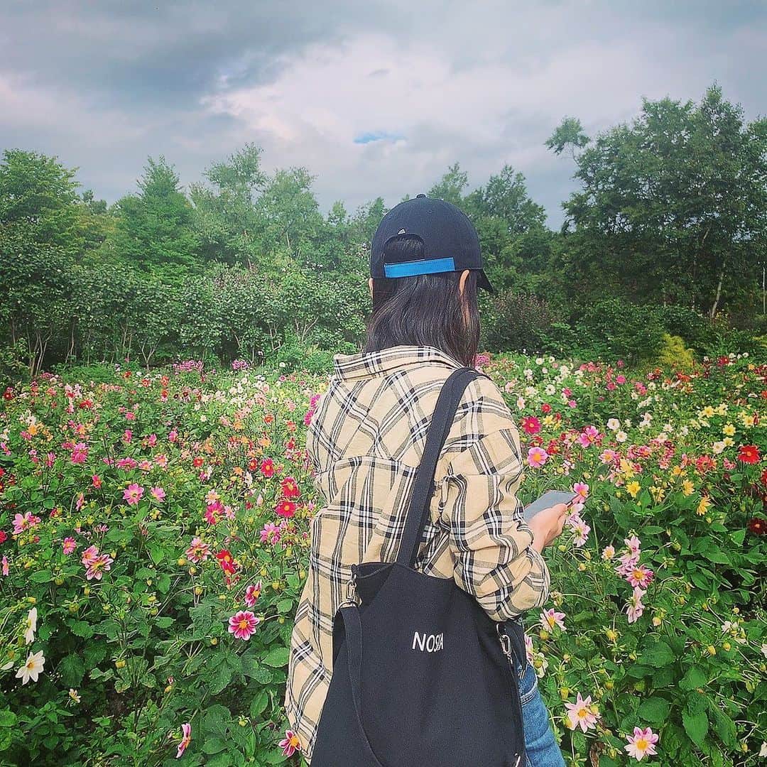 加弥乃さんのインスタグラム写真 - (加弥乃Instagram)「明日の21時頃から少しだけ、インスタライブをやってみたいと思います。  初めてのインスタライブなので、ちゃんと始まるか不安もありますが🤭💦 ゆるりと配信しようと思うので、良かったらふらっと遊びに来てください✨  写真は去年、ドラマ「相棒」の撮影で行った北海道で📸 #お家時間」5月9日 21時09分 - kayano210