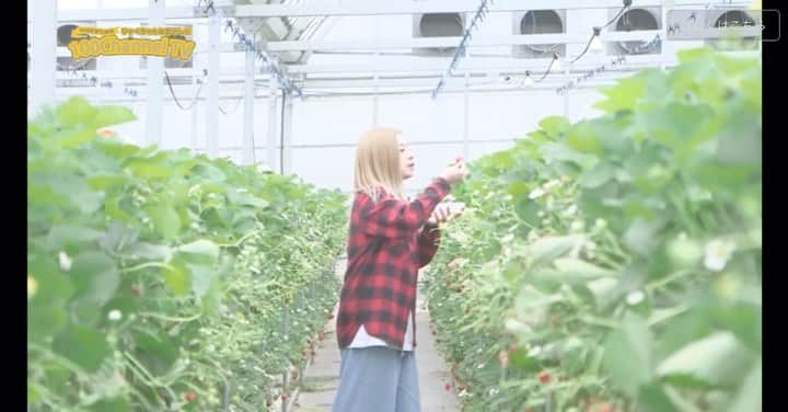 Licanaのインスタグラム：「【レギュラー番組情報】 1週間経つの早すぎるて😳😳😳 こないだはぱくぱく苺食べてるりかなが放送されたねw  番組に入りきらなかったものは今までupしていたfacebookの公式ページ「ひゃくちゃんねる」‪に放送後にupしてるよ👌 是非検索してとんでってね🔍  明日はずっと行きたかった @mishima_skywalk の様子が放送🗻 毎週日曜朝6:55から絶賛放送中です📺 . . . 「ひゃくちゃんねるテレビ」‬ ‪tvk(テレビ神奈川) ‬ ‪毎週日曜日 朝 6:55〜 OnAir‬🔊🔊🔊 グルメ、温泉、景色と共に‬朝から「どバラエティ情報番組」‬🔥 . ‪. . #ひゃくちゃんねる #ひゃくちゃんねるテレビ #箱根散策 #温泉 #箱根湯本 #箱根 #小田原 #Licana #TOKYO #JAPAN #JAPINA #YouTube #facebook #テレビ神奈川 #tvk #地上波 #レギュラー番組」
