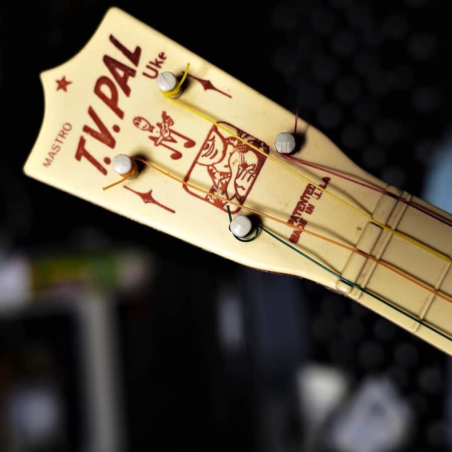 坂崎幸之助さんのインスタグラム写真 - (坂崎幸之助Instagram)「ギターではない弦楽器を🪕 ステージではあまり弾く機会はありませんがたまにお台場フォーク村とか自分んちで弾いてます😛 それぞれ何と言う楽器だかわかりますかぁ？🤔 #フラットマンドリン #バンジョー #ウクレレ #チャランゴ #弦楽器 #カントリーミュージック #ブルーグラス #フォルクローレ #ハワイアン #gibson #鷲見工房 #セルマーマカフェリ #週末は家でギターを🎸」5月9日 22時07分 - kohnosukesakazaki