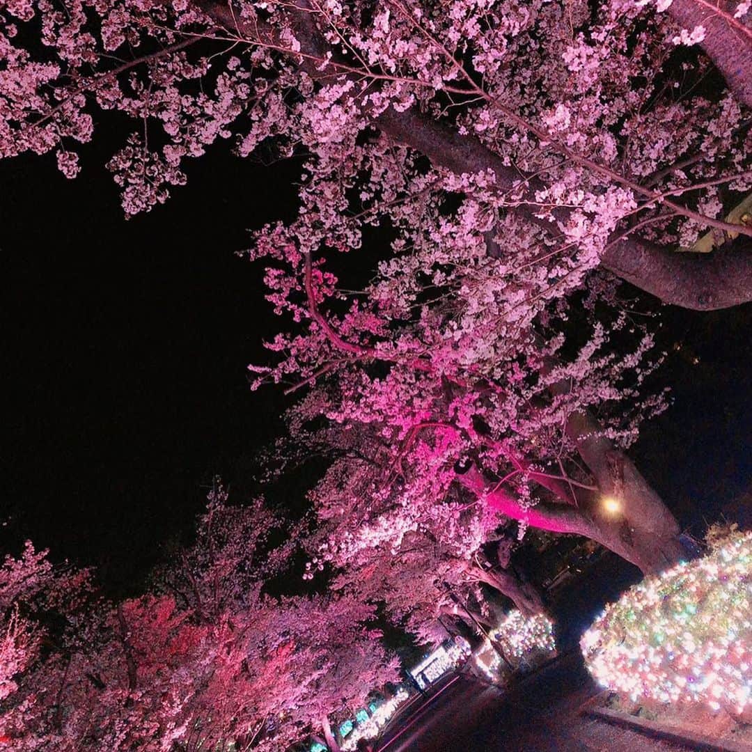 長久梨那さんのインスタグラム写真 - (長久梨那Instagram)「． 外出自粛して1ヶ月💦 寝たきりのおばあちゃんが、退屈よーって言ってたのがどれほどのものだったのか、今考えるとこわくなる。。 おばあちゃん、すごくすごく頑張ったんだね。 去年見た夜桜と、今年見た雪桜🌸 きっと来年はもっと素敵な桜に出会えるよね🌸 #桜 #夜桜 #雪桜 #よみうりランド #イルミネーション #ジュエルミネーション #日本 #春 #日本の春 #景色 #風景 #日本の風景 #外出自粛 #緊急事態宣言 #コロナに負けるな #stayhome #ステイホーム #うちで過ごそう #思い出 #フォトジェニック #インスタ映え #フォローミー #japan #sakura #cherryblossom #flowers #landscape #photography #instapic #followｍe」5月9日 13時15分 - rinanagahisa