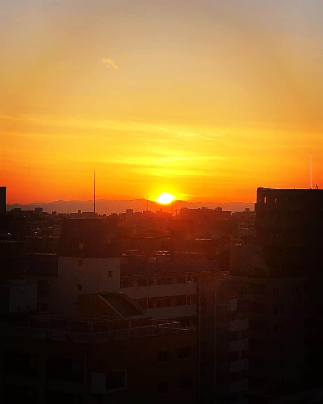 南海キャンディーズ【公式】のインスタグラム：「東京でもこんなきれいな夕日がみれる。 東京がきれいになってきている。」
