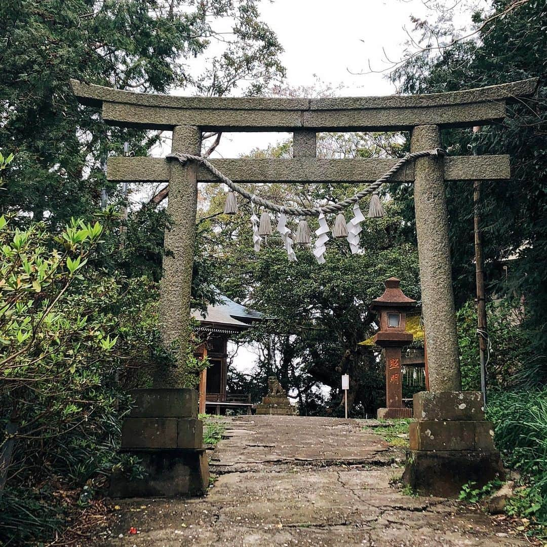 上田祥子さんのインスタグラム写真 - (上田祥子Instagram)「⛩遠見岬神社(とみさきじんじゃ 千葉・勝浦市) 関東全体の発展に寄与され、房総半島に技術と文化をもたらした、天富命が祀られています。60段の石段に雛人形が1800体飾られる『かつうらビッグひな祭り』でも有名ですね。勝浦の景色を一望出来る、風がそよぐ気持ちのいい神社です。神社直ぐそばのお店の勝浦坦々麺は超おすすめ。 #遠見岬神社 #神社 #⛩ #神社参拝 #おみくじ #神社参拝 #勝浦市 #勝浦坦々麺 #神社アーカイブ」5月9日 13時11分 - uedasachikoinsta