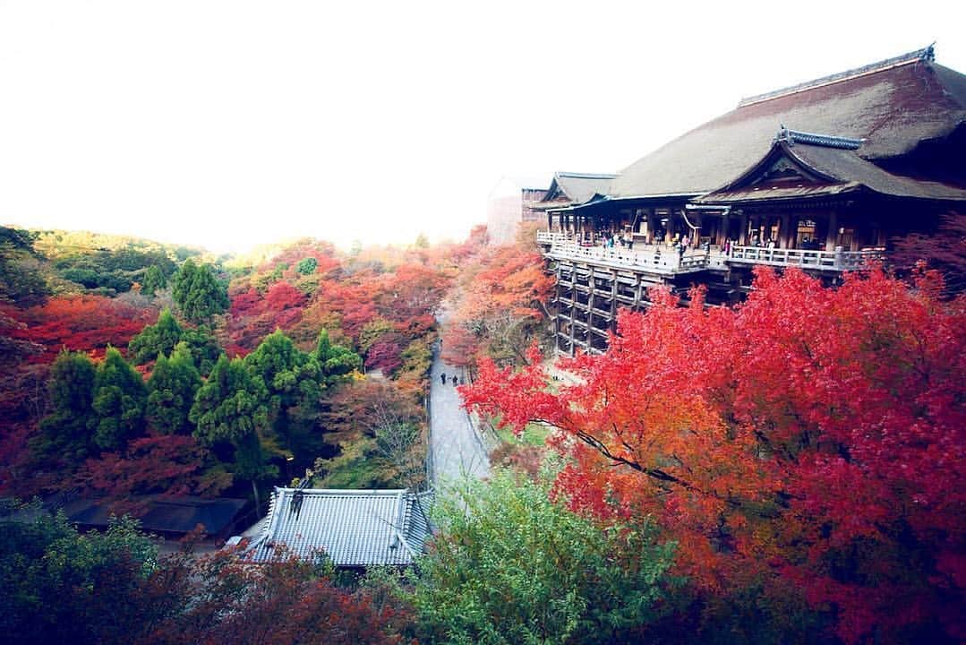 THE SODOH OFFICIALのグルメインスタ