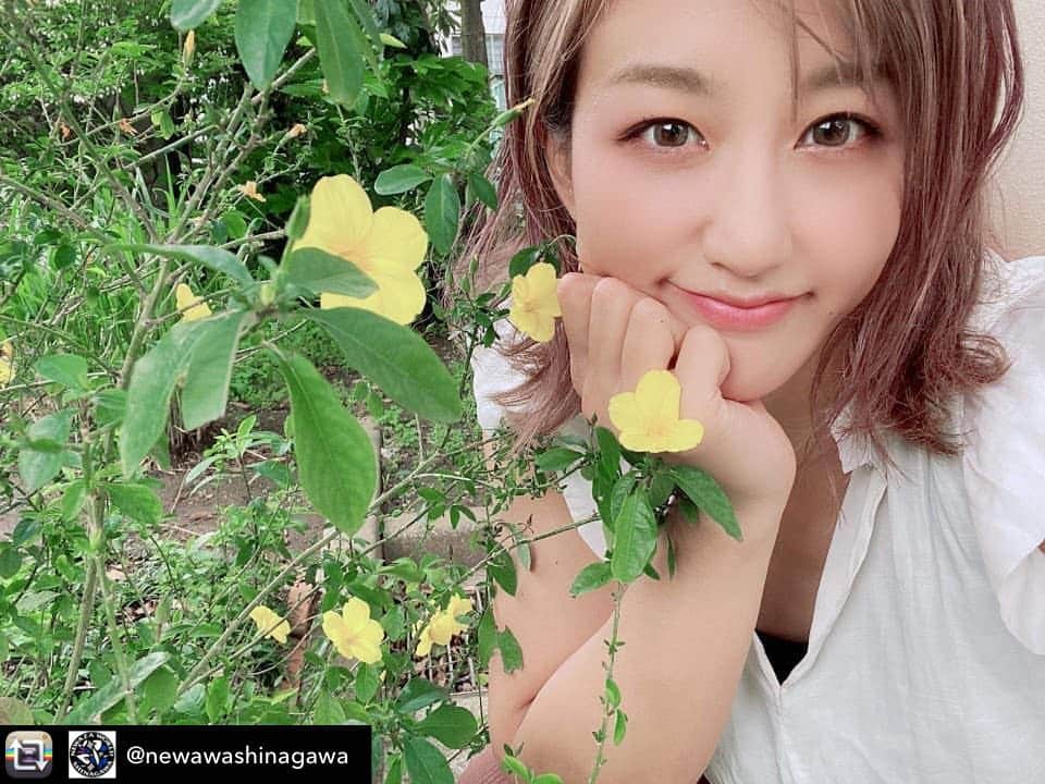 杉山しずかのインスタグラム：「✨✨✨ 10日日曜日、21:00- インスタライブします！ Repost from @newawashinagawa 『桜満開!春爛漫!【絢爛華麗な格闘美女図鑑】#14 杉山しずか選手』  世の中を明るくしてパワーを与えてくれる『格闘美女』の最新オリジナル画像を『桜の季節』に お一人ずつ紹介していきます。 本日は『本家格闘美女』杉山しずか選手の登場です。 『いいね!』を押して頂けると幸いです。 何卒よろしくお願い申し上げます。  #杉山しずか#美女格闘家#RIZIN#deepjewels#reversal#rvddw#ねわざワールド品川#ねわざワールド#ブラジリアン柔術#柔術」