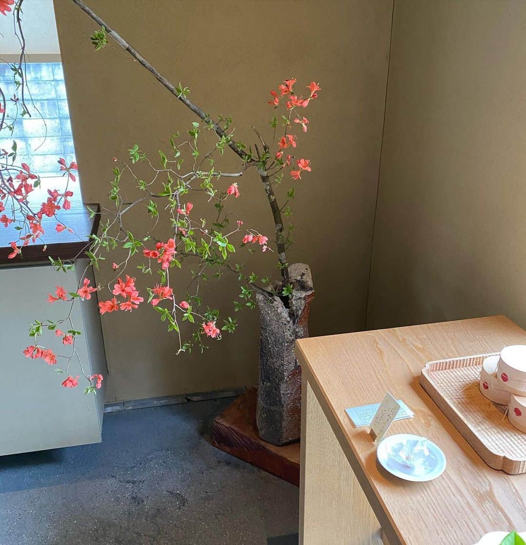 越野矢素子さんのインスタグラム写真 - (越野矢素子Instagram)「明日は母の日ですね😊　 さとちゃんに教えてもらったお店に和菓子とお寿司を予約して行って来ました✨ 素敵な店内で、お茶まで頂きました✨ @haku_kyoto_jp  カーネーションと一緒に母に持って行きます🌹 『お母さんいつもありがとう』 　矢素子より」5月9日 14時10分 - loversyaso
