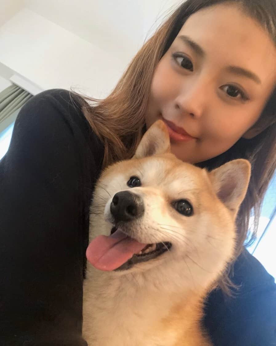 矢吹世奈のインスタグラム：「🎂 27歳になりました😋💛 たくさんのお祝いメッセージ ありがとうございます❤️❤️ #誕生日 #矢吹世奈 #豆柴まろ」