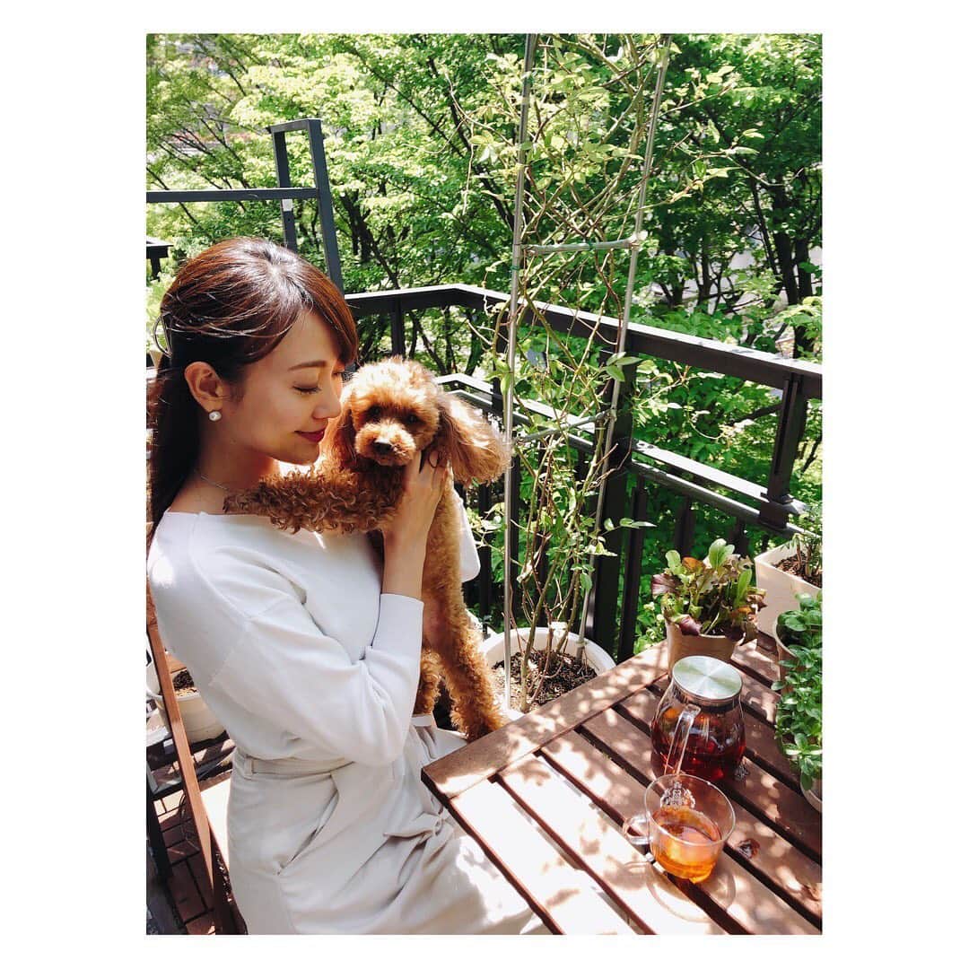 植田早紀のインスタグラム：「【34th my birthday◡̈♥︎ 】 今年は自粛モードのbirthday。 毎日自分と向き合い考える時間が増え、 改めて大切なものに気づかされます。  まずは大変なこの状況を救ってくださっている、 医療従事者の皆様に感謝です。  早く明るい世の中に戻りますように。 この苦しい状況が早く終息しますように、  目の前にある幸せを大切に 自分に出来る限りの事をしっかりしたいと思います。  #mybirthday #thanks 2020.5.3」