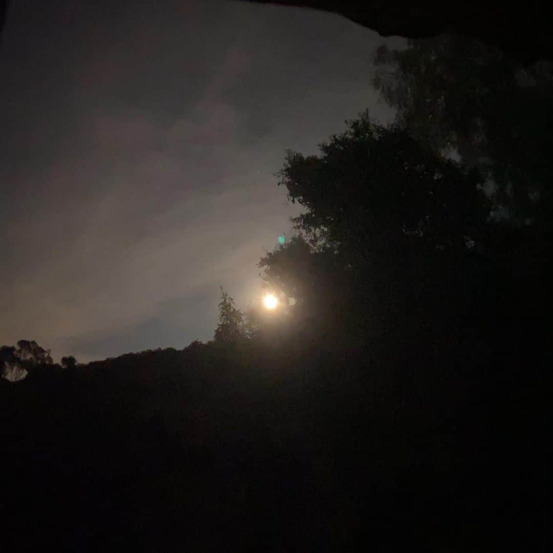 マイケル・ルーカーさんのインスタグラム写真 - (マイケル・ルーカーInstagram)「It’s so Bright this super moon」5月9日 15時15分 - michael_rooker