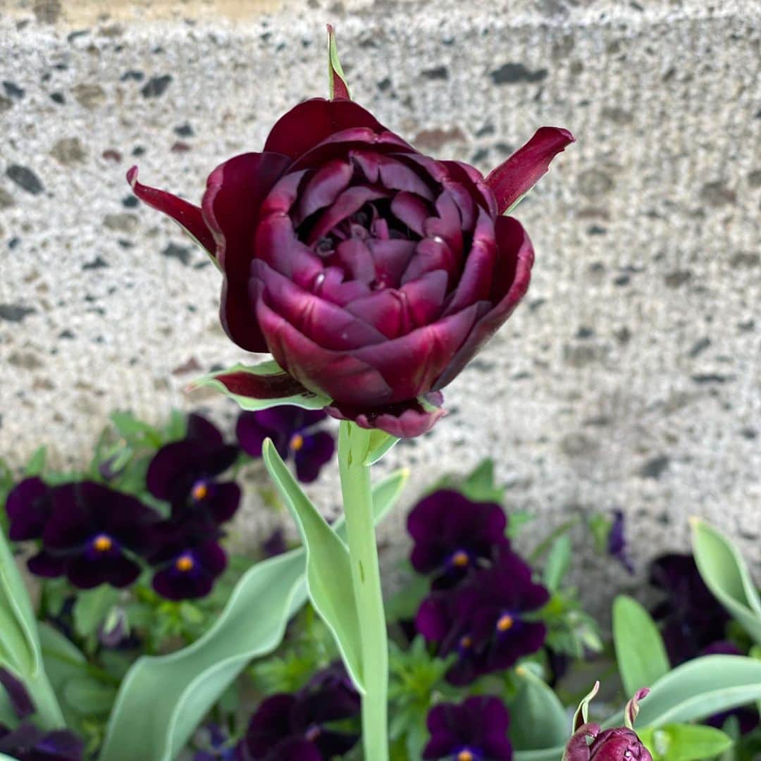 魔女菅原のグルメインスタ