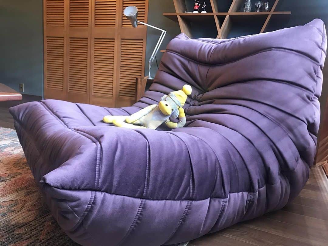 アヤメさんのインスタグラム写真 - (アヤメInstagram)「Lazy weekend, he is happy with his new king size bed🛌 #reupholstery #lignerosettogo #timelessdesign #1973 #caterpillar サンダーソンのベルベットでソファを張り替えました💜 #sandersonfabric #ソファ張り替え #色褪せない #クリエイション」5月9日 15時21分 - ayame_socks