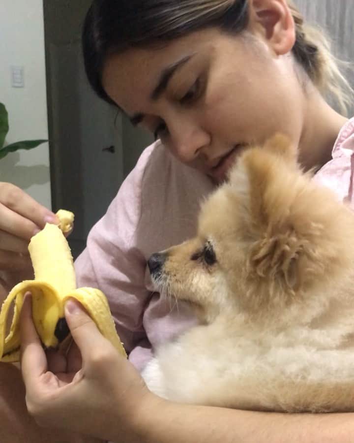 ローレン・ヤングのインスタグラム：「my baby really loves bananerz. he thinks hes a human sometimes 🥰」