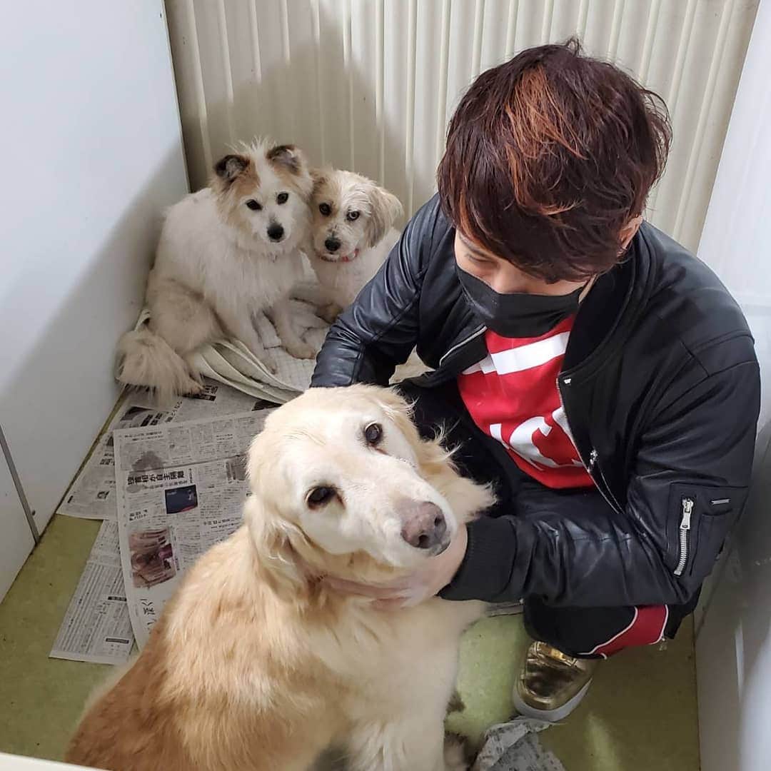 月野帯人さんのインスタグラム写真 - (月野帯人Instagram)「仔犬や犬たちがみんなの助けを待ってるので人間もですけど仔犬達を助けてください！ よろしくお願いしますm(__)m #仔犬 #保護犬を家族に  #仔犬のボランティア活動」5月9日 16時13分 - taitotsukino