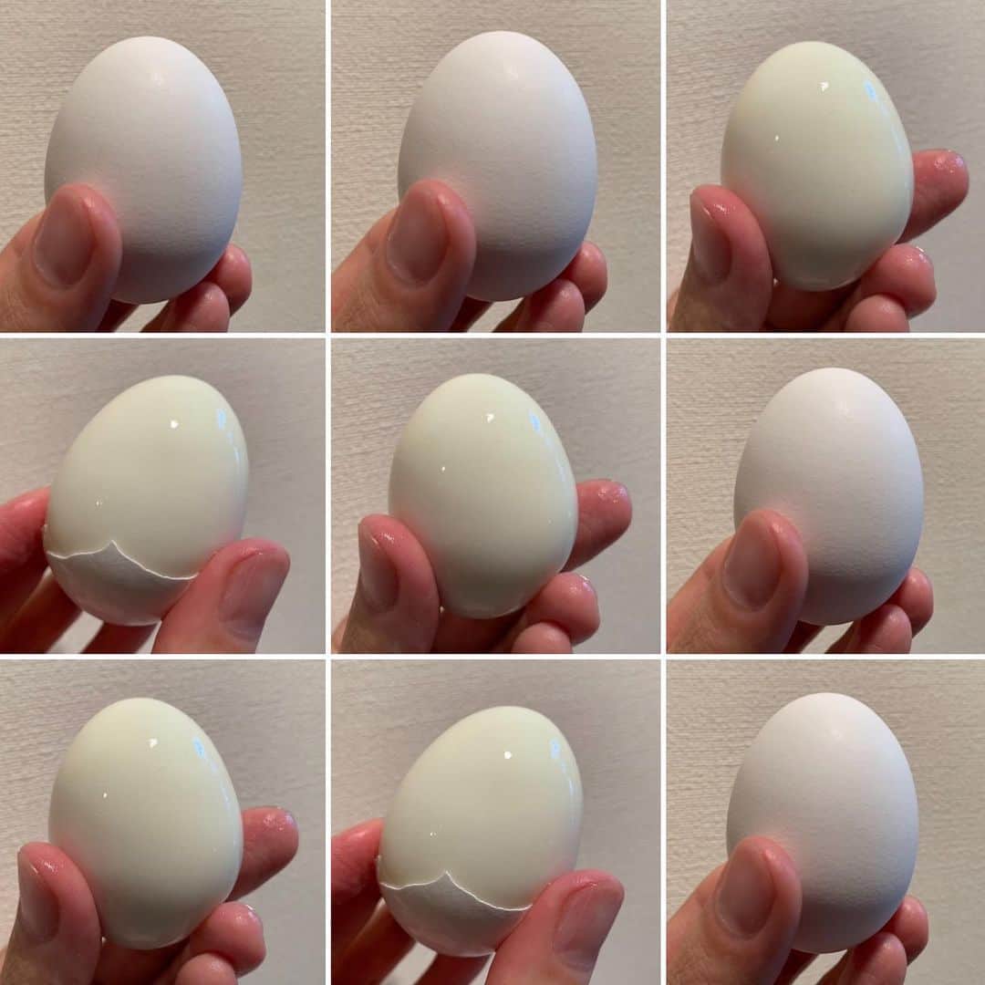 佐久間一行さんのインスタグラム写真 - (佐久間一行Instagram)「綺麗にむけると嬉しいな〜  #ゆで卵」5月9日 17時23分 - sakuzari