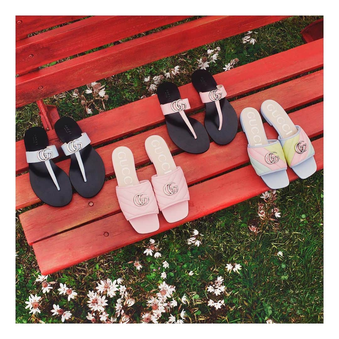 のインスタグラム：「Immersed against a natural backdrop, #TowardsTheSun #GucciPreFall20 is defined by a lineup of warm weather designs including #GGMarmont sandals and slides. Discover more through link in bio. #AlessandroMichele」