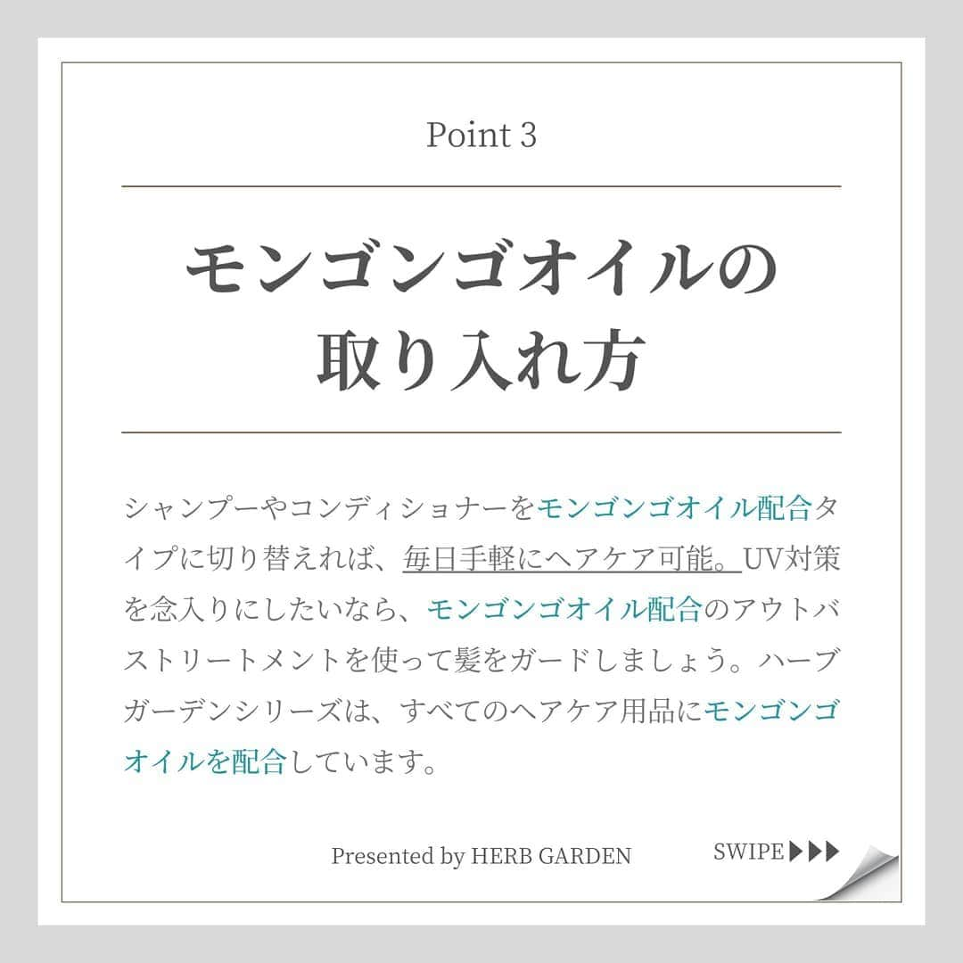 ハーブガーデン（さくらの森）公式さんのインスタグラム写真 - (ハーブガーデン（さくらの森）公式Instagram)「. 【UVカットできる　ナチュラルオイルのお話☺️】 . ホホバやアーモンドなど いろいろな植物オイルがありますが、 今回注目するのは . ✨モンゴンゴオイル✨ . ケアオイルによっては 紫外線のせいで 肌や髪が焼けてしまう場合が…😱 . しかし、 モンゴンゴオイルには 【UVカット】の力があるんです！ . 気になった方は ぜひ最後まで読んでみてください♪ . （@herbgarden_organic） ====================== 【植物の力で美しさを取り戻す。美容やライフスタイル情報を発信中】 ・季節に合わせたスキンケア ・肌にいいボタニカルな食べ物 ・あなたにあったコスメの選び方 ・今人気の美容方法　など  #ハーブガーデンシャンプー をつけて投稿すると、 お写真を紹介させていただくことも。  詳しくは 【@herbgarden_organic】をご覧ください。 #シャンプー #ヘアケア #トリートメント #髪質改善 #オーガニック #コンディショナー #ノンシリコン #ハーブガーデン #頭皮ケア #美髪ケア #サラサラヘア #ダメージケア #美容好きと繋がりたい #ハーブのある暮らし #モテ髪 #髪質 #香りのある生活 #ノンシリコンシャンプー #ボタニカルシャンプー #キューティクル #ダメージケアにオススメ #美髪ケアトリートメント #ボタニカルシャンプーコンディショナー #ヘアケア難民 #ハーブシャンプーでサラサラ #ノンシリコンのハーブガーデン #ボタニカルシャンプーはハーブガーデン #ノンシリコンシャンプーはハーブガーデン #サラサラヘアにはハーブガーデン」5月9日 17時46分 - herbanience_official