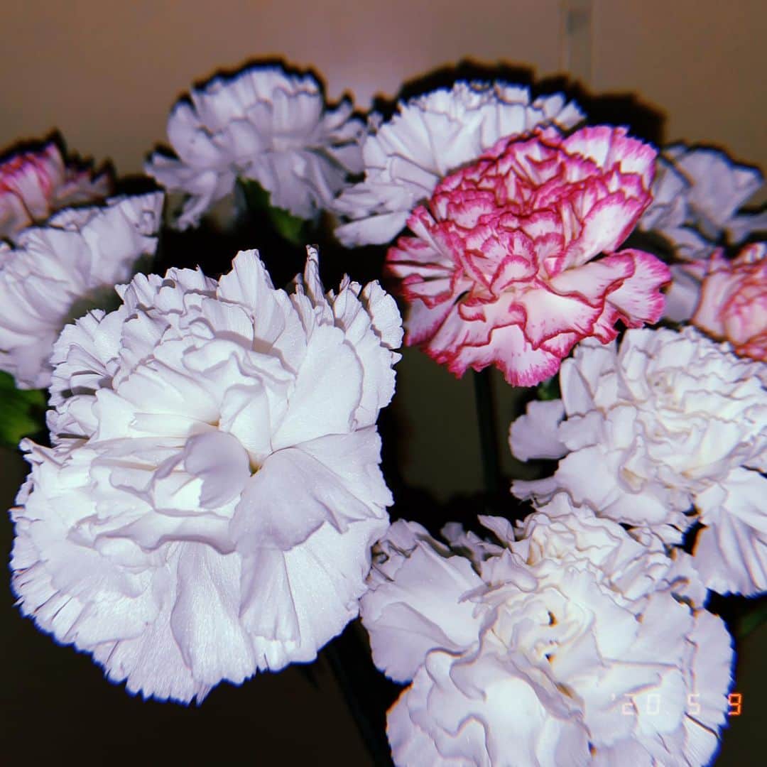 西田さおりさんのインスタグラム写真 - (西田さおりInstagram)「白いカーネーションと ふちがピンクのカーネーション。 可愛いです。 明日は母の日ですね。 感謝！！！！ . . #母の日 #カーネーション #紫色のもすんごく可愛かった」5月9日 17時41分 - saori19950108