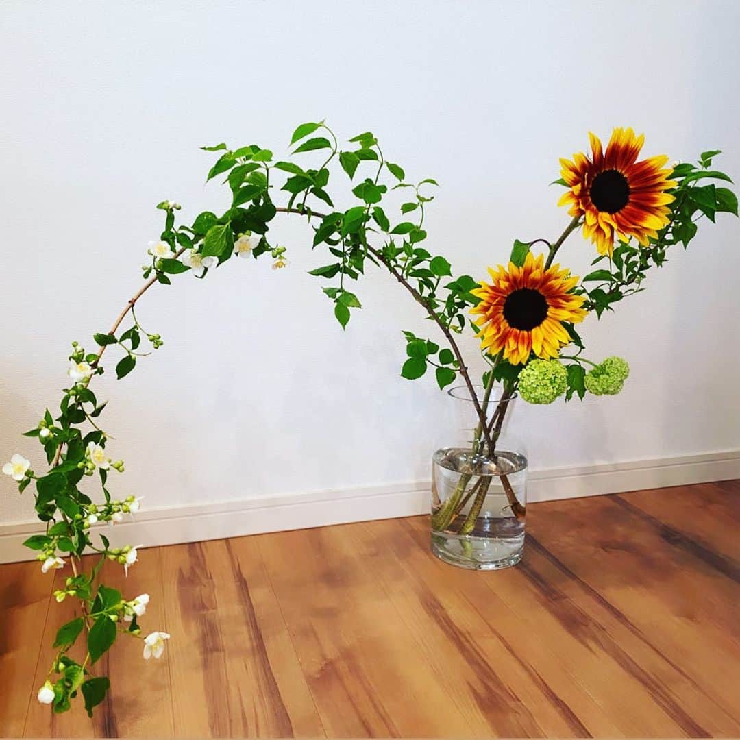 のインスタグラム：「🌻 1番、好きな花の季節がやってきた。  #ひまわり  #向日葵  #ヒマワリ  #花のある暮らし  #花のある生活」