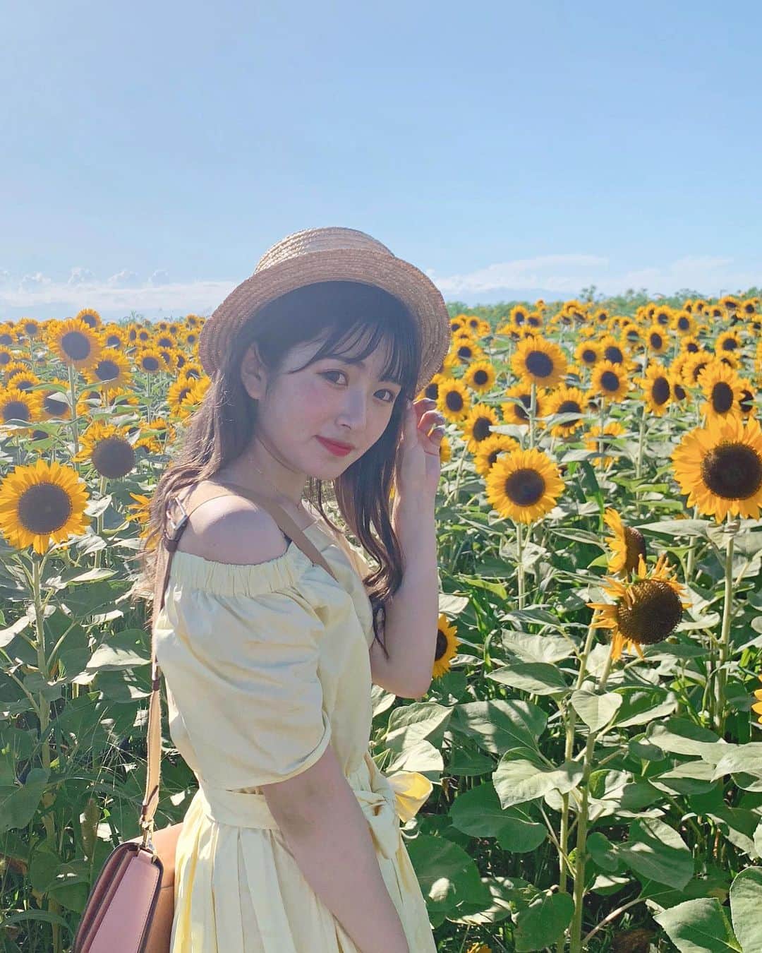青木菜花のインスタグラム：「.﻿ .﻿ 🌻🌻🌻﻿ ﻿ 今年も向日葵畑いけるといいなあ〜﻿ おうち時間みんなは何してるー？？🤔﻿ .﻿ . #向日葵 #向日葵畑 #ソレイユの丘 #ひまわり #ひまわり畑 #過去pic #過去ピク #おうち時間 #instagood #instalike #lfl #l4l #花」