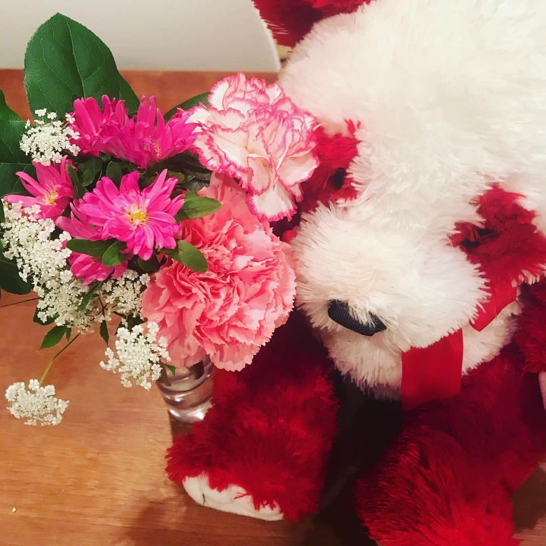 日暮愛葉さんのインスタグラム写真 - (日暮愛葉Instagram)「娘が少しでかけるといって 帰ってきたら 花束でした。 感動。🌺🌺🌺🌺🌺ありがとう😊」5月9日 18時42分 - aiha_higurashi