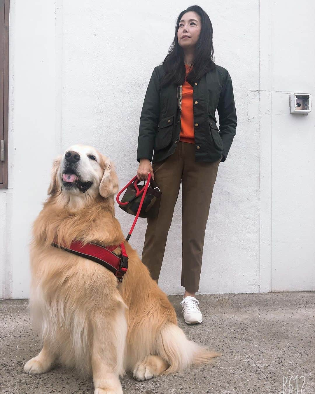 高橋ひとみさんのインスタグラム写真 - (高橋ひとみInstagram)「夕方のお散歩🐾 ももえは痒いところを手でかいてあげると、自分の後ろ足🐾でかいているかのように、後ろ足が自然と動きます😅」5月9日 19時07分 - hitomi_momoe