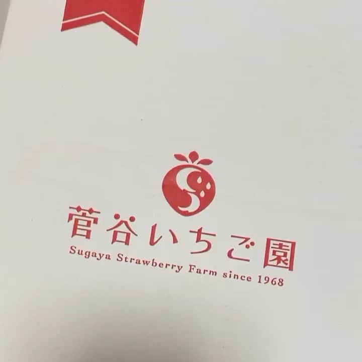 吉江瞳のインスタグラム：「豊洲市場ドットコムでお取り寄せしました菅谷いちご園のいちご❤️ あまーくて美味しい❤️ あー幸せ❤️❤️ この間もマンゴー頼んだけど美味しかった😊 さすがです！ 次はなにを頼もうかな☺️ #豊洲市場ドットコム #菅谷いちご園  #いちご」